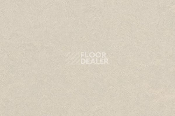 Линолеум Marmoleum Decibel on Order 325735 edelweiss фото 1 | FLOORDEALER